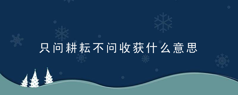 只问耕耘不问收获什么意思 只问耕耘不问收获意思是什么